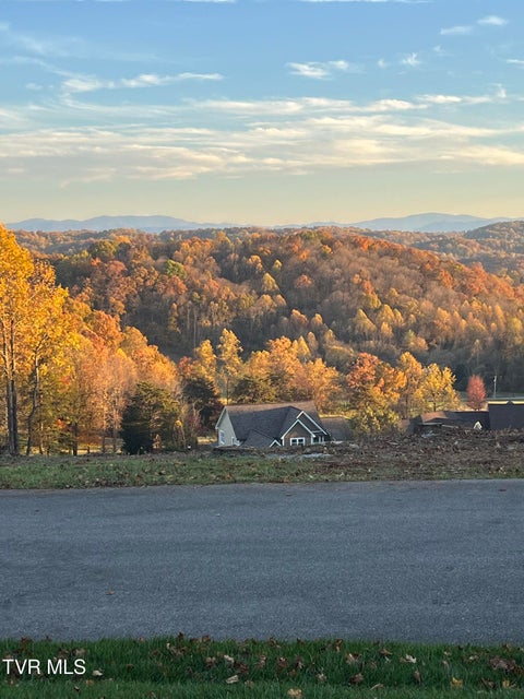 Photo #10: 1230 Ridgetop Trail