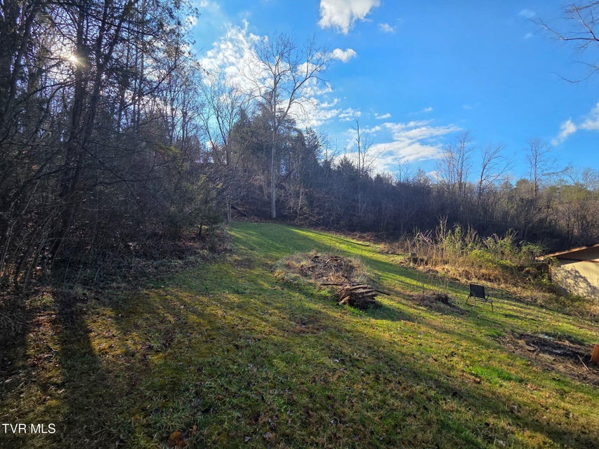 Photo #4: 424 Buzzard Roost Road