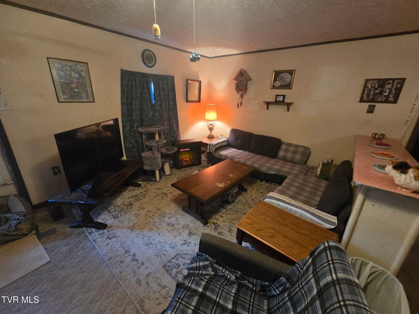 Photo #15: 424 Buzzard Roost Road