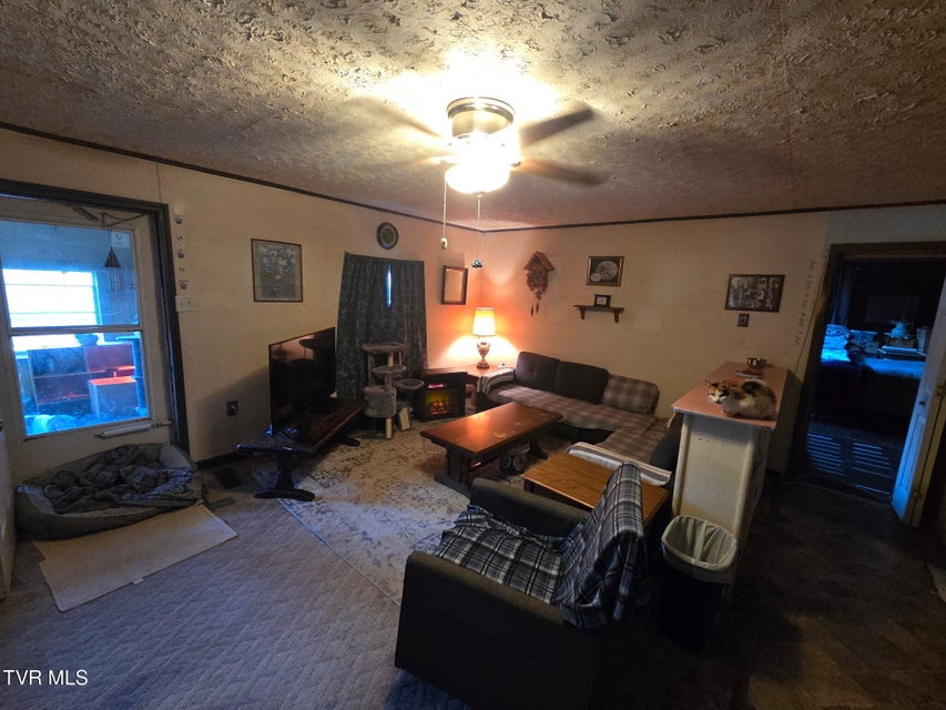 Photo #18: 424 Buzzard Roost Road