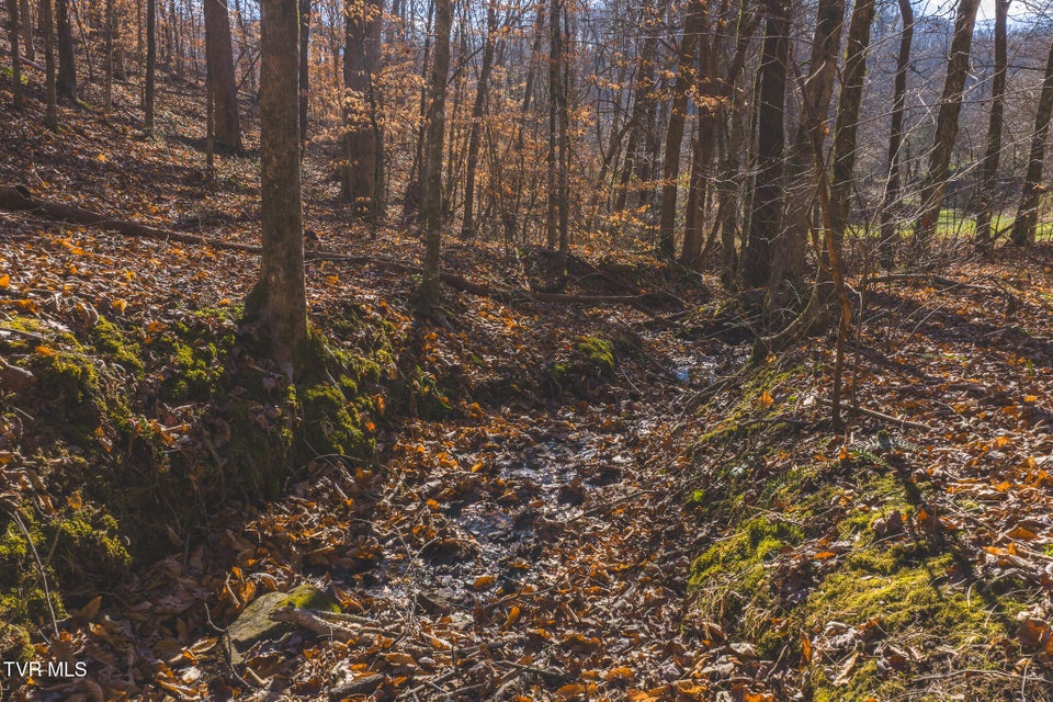 Photo #18: 3381 Upper Caney Vallley Road