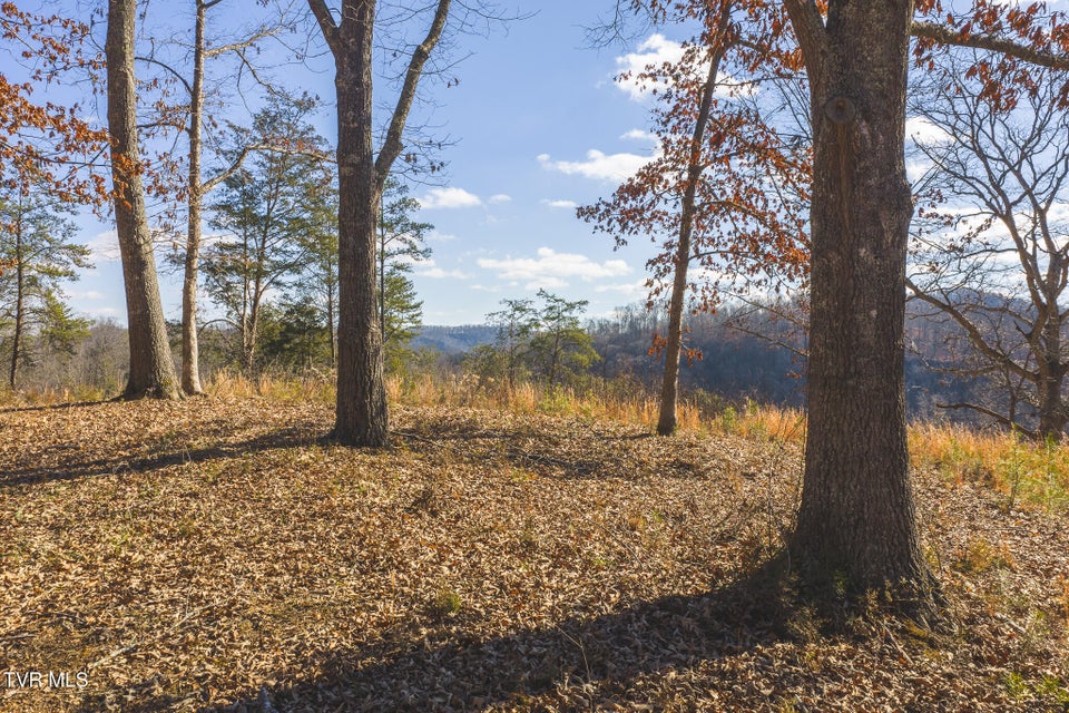 Photo #19: 3381 Upper Caney Vallley Road