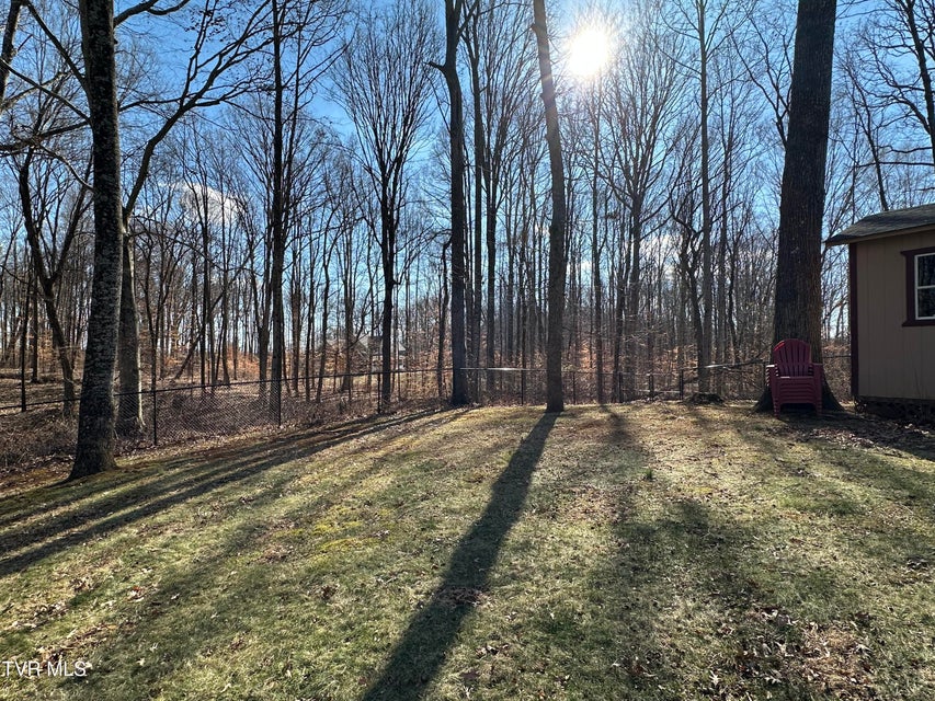 Photo #98: 182 Butchertown Road