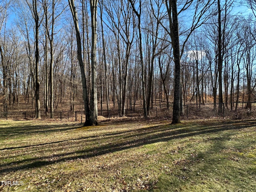 Photo #99: 182 Butchertown Road