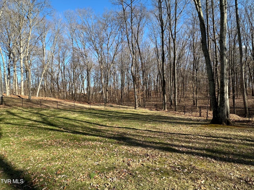 Photo #100: 182 Butchertown Road