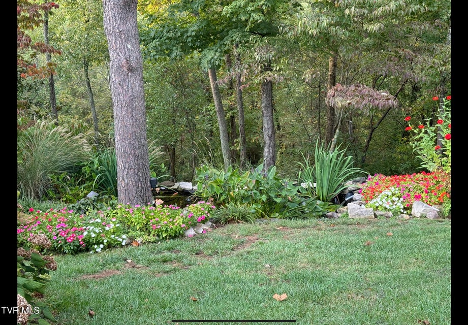 Photo #58: 1505 Burgh Heath Drive