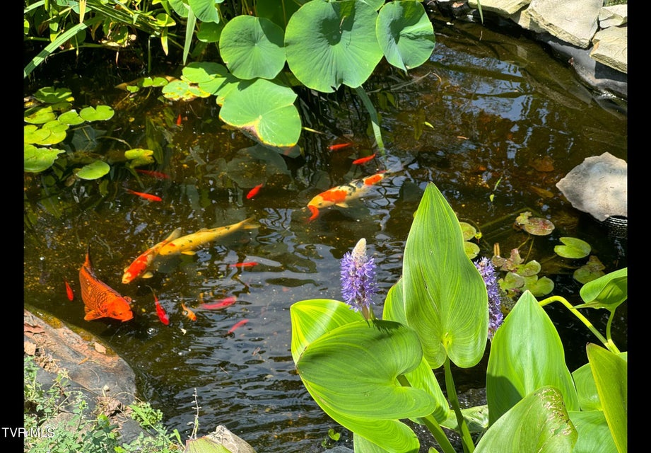 Photo #57: 1505 Burgh Heath Drive