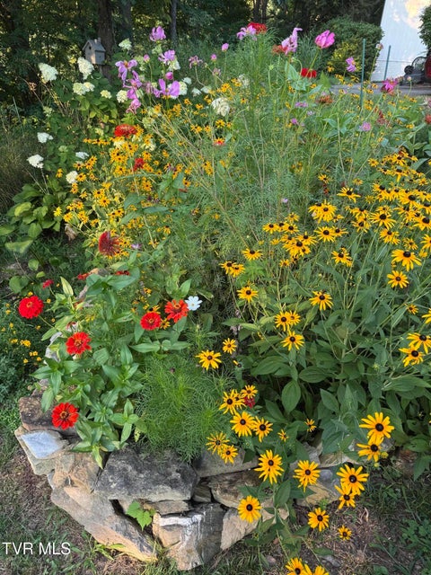 Photo #59: 1505 Burgh Heath Drive