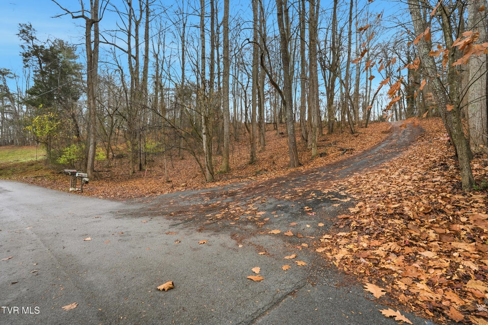 Photo #5: Tbd Bayhill Dr Drive