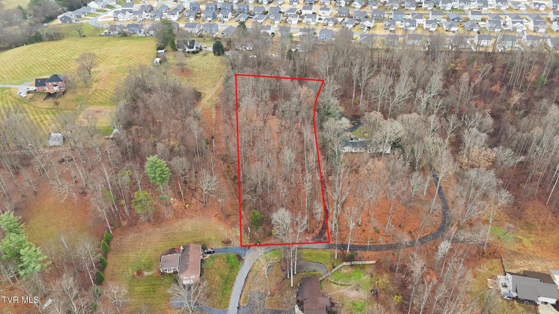 Photo #8: Tbd Bayhill Dr Drive