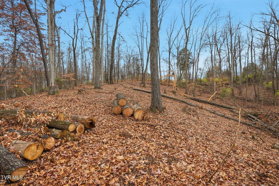 Photo #2: Tbd Bayhill Dr Drive