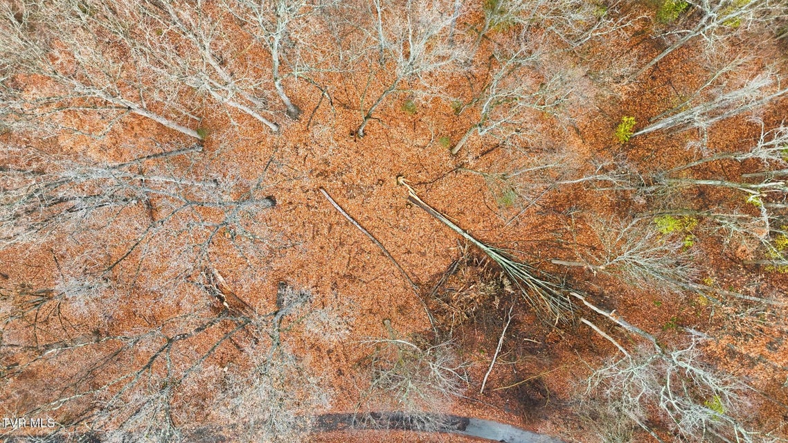 Photo #9: Tbd Bayhill Dr Drive