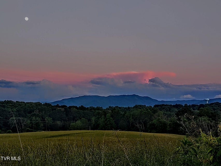 Photo #47: 235 Fairridge Road