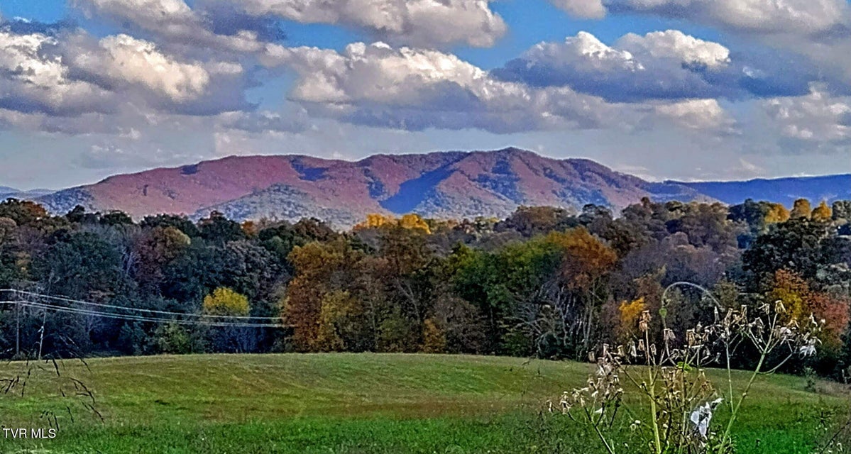 Photo #48: 235 Fairridge Road