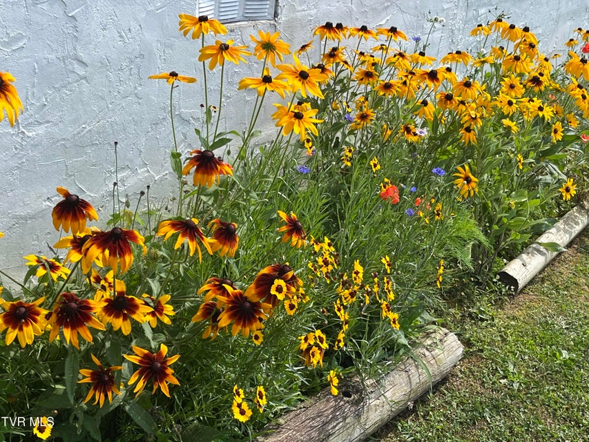 Photo #33: 225 Shaw Road