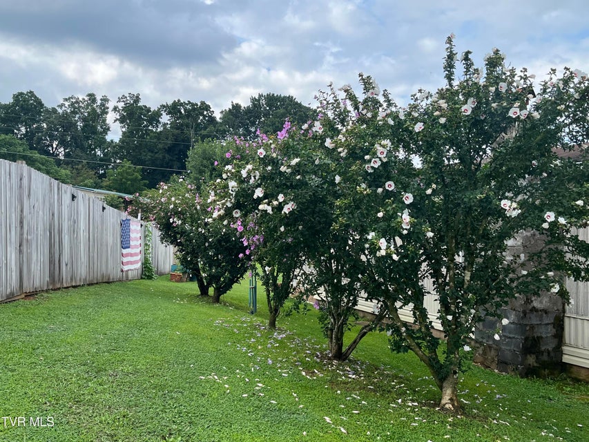 Photo #35: 225 Shaw Road