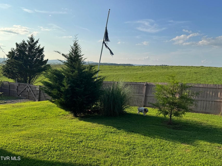 Photo #39: 225 Shaw Road