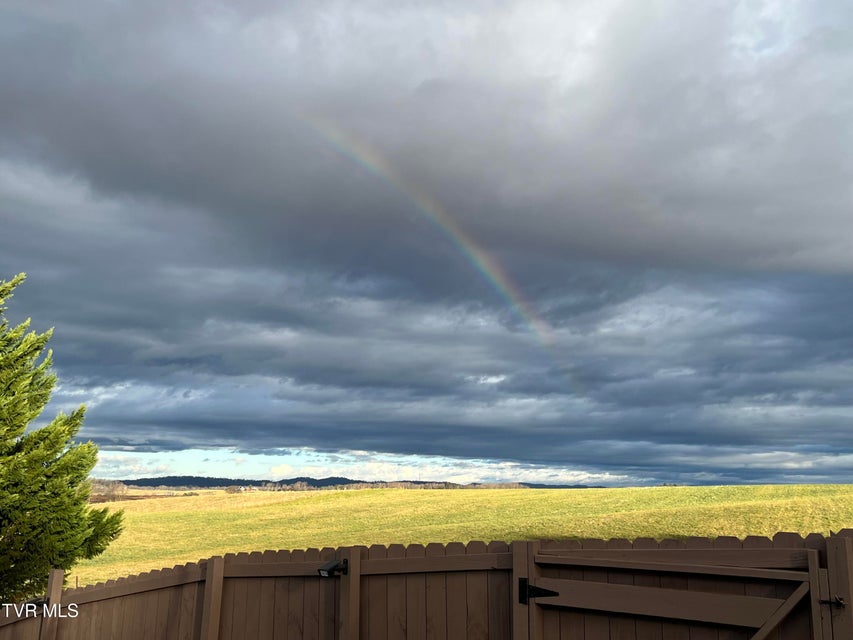 Photo #43: 225 Shaw Road