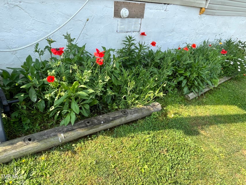 Photo #44: 225 Shaw Road