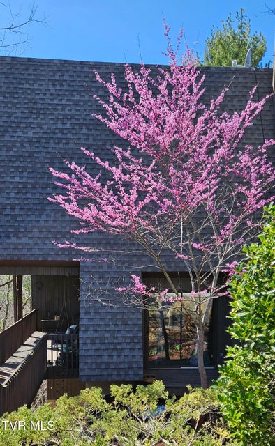 Photo #2: 323 Hickory Bluff