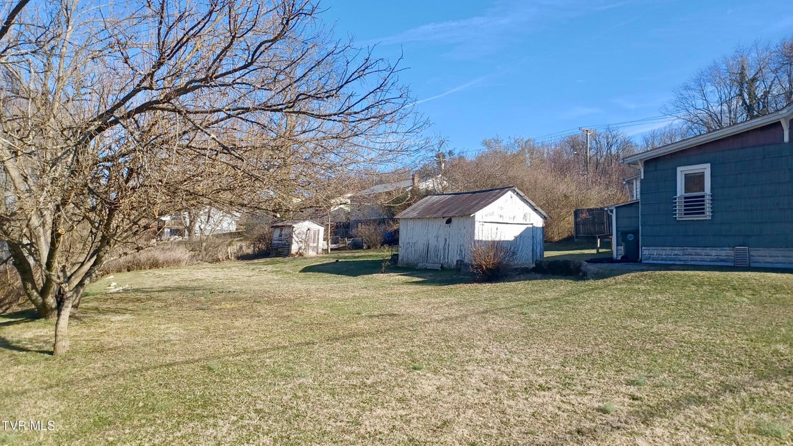 Photo #34: 209 Madison Street