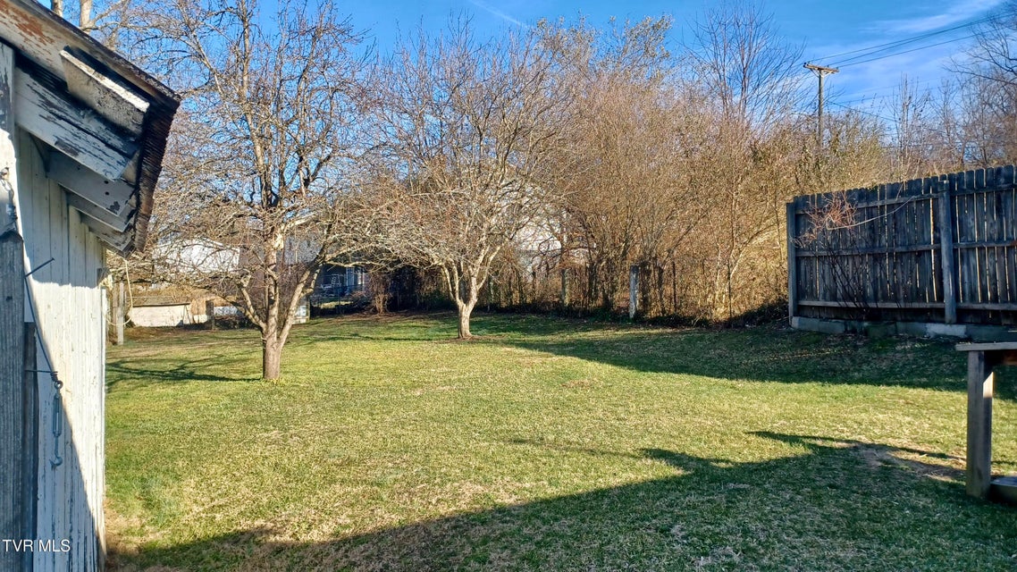 Photo #41: 209 Madison Street