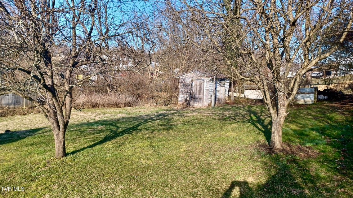 Photo #42: 209 Madison Street