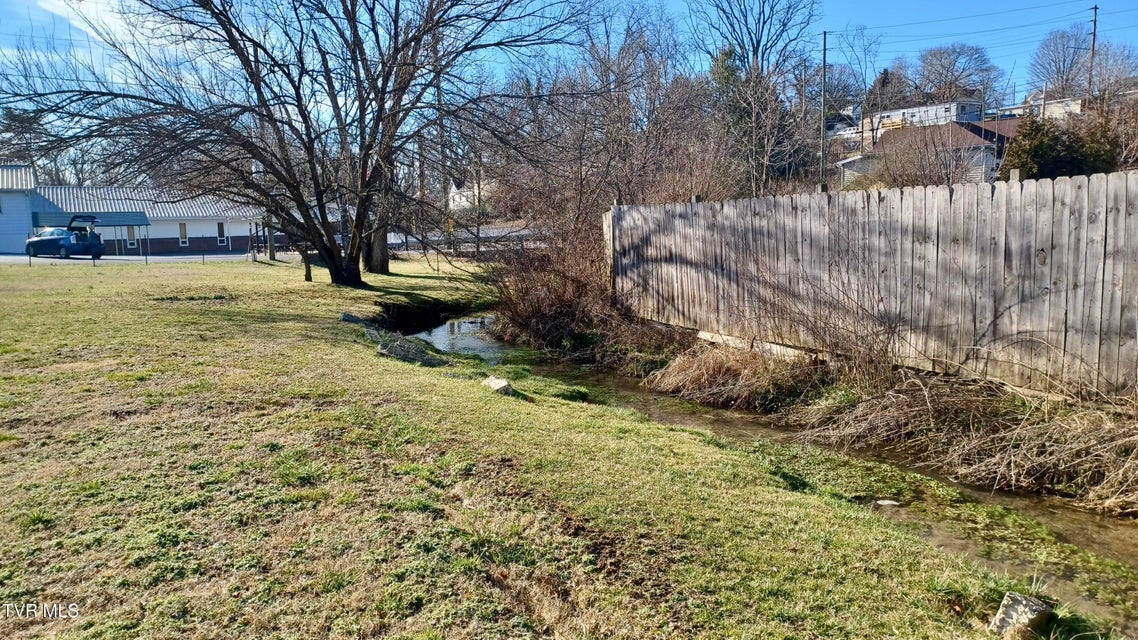 Photo #35: 209 Madison Street