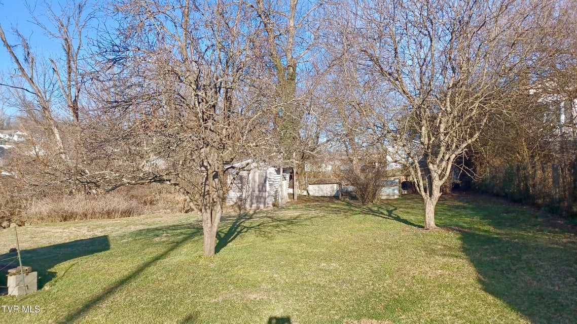 Photo #46: 209 Madison Street