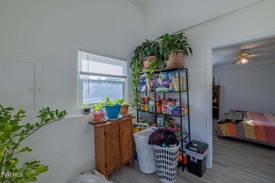 Photo #10: 3216 Brownlow Road