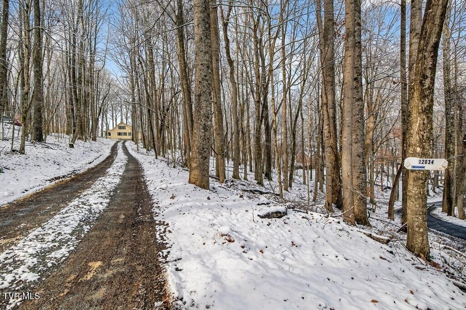 Photo #3: 12034 Waterhouse Lane