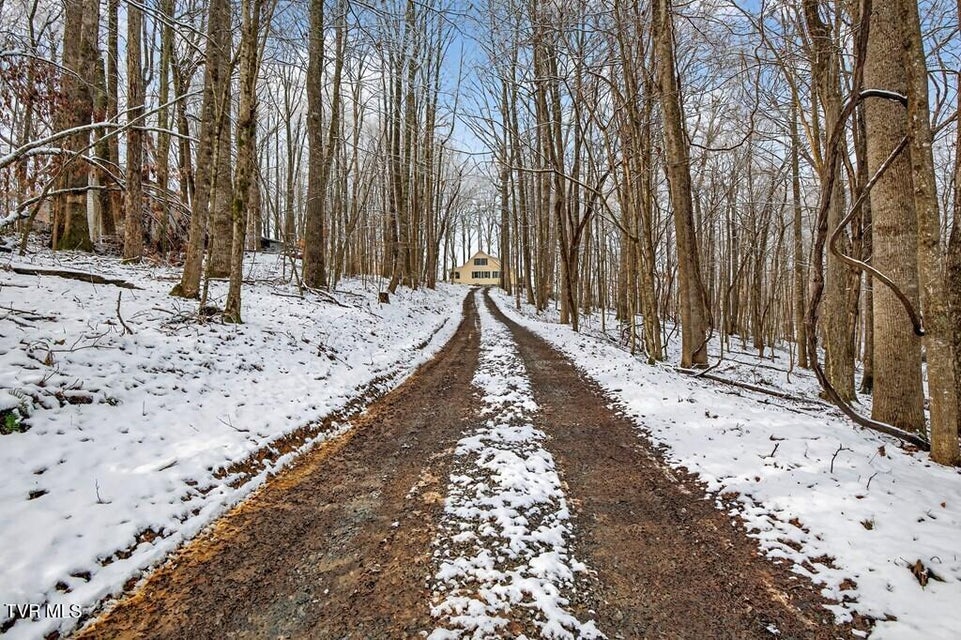 Photo #4: 12034 Waterhouse Lane