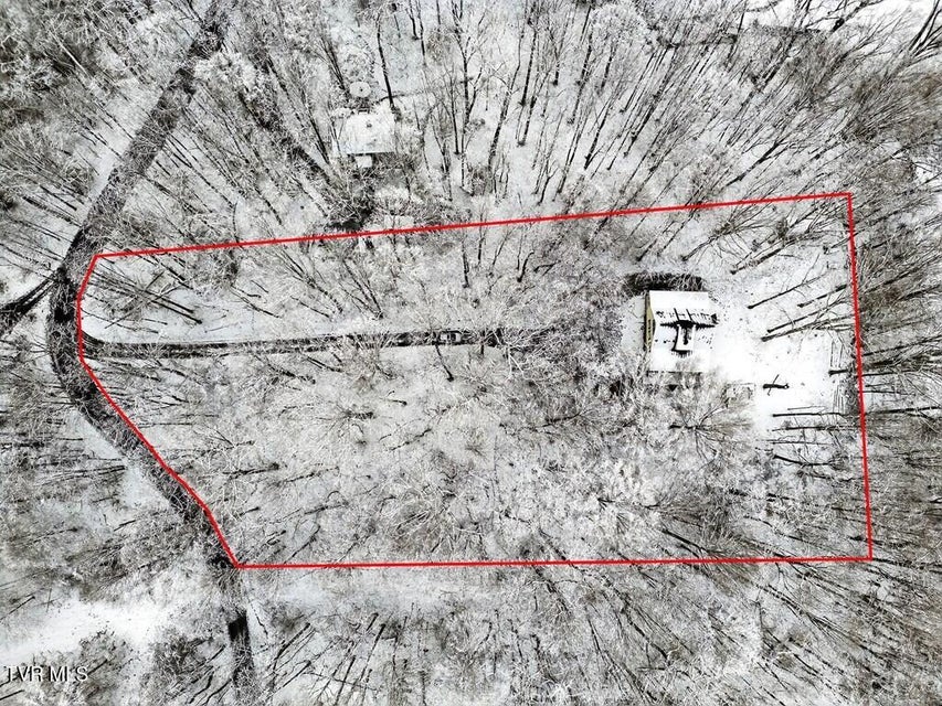 Photo #22: 12034 Waterhouse Lane