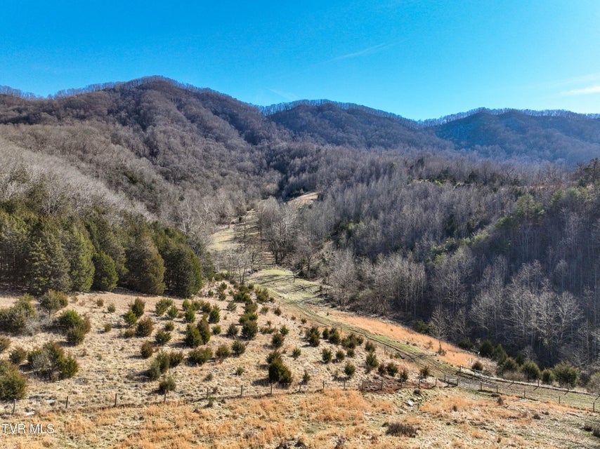 Photo #4: Tbd Rattlers Haven 