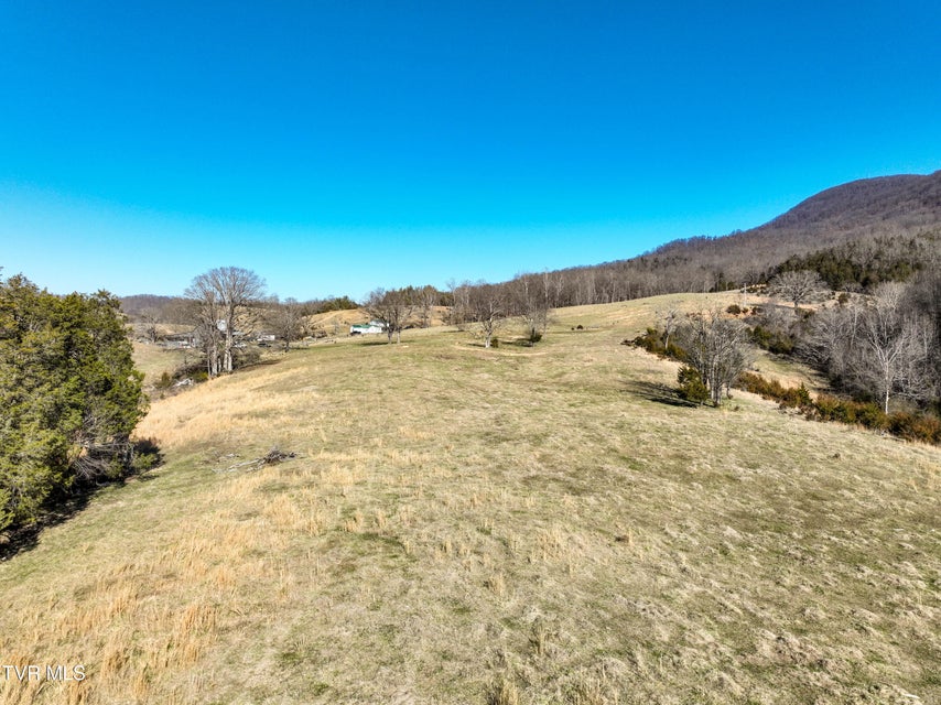 Photo #8: Tbd Rattlers Haven 