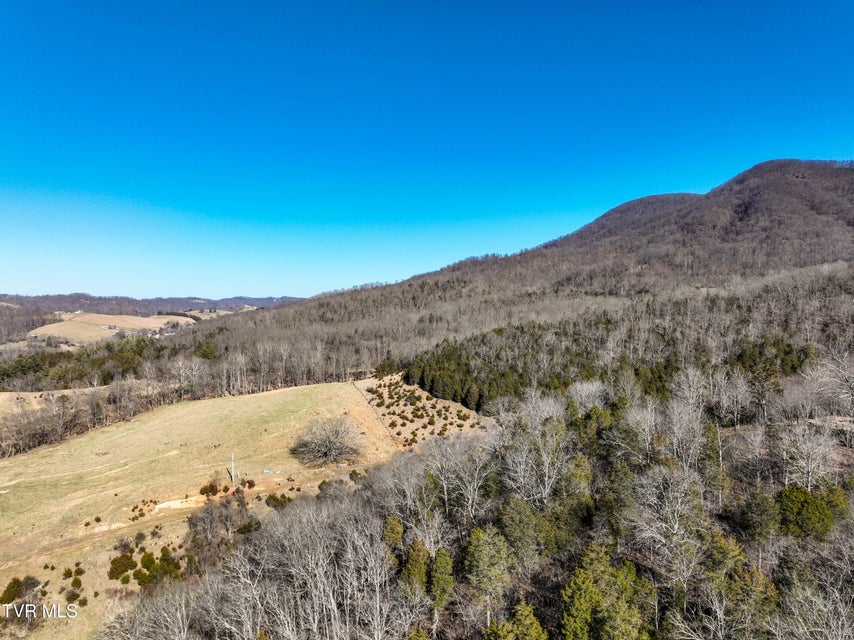 Photo #10: Tbd Rattlers Haven 