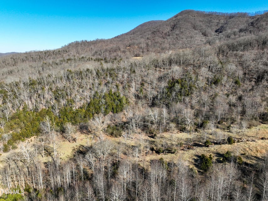 Photo #15: Tbd Rattlers Haven 