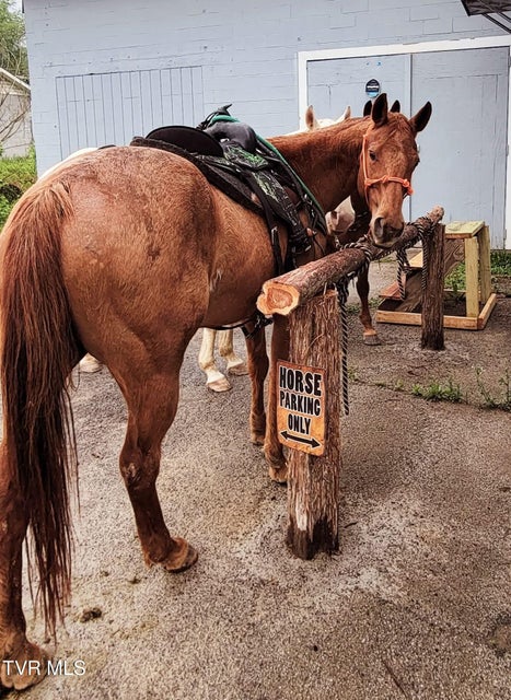 Photo #45: 1097 Main Street