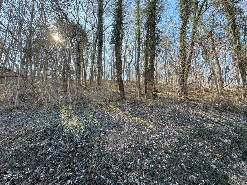 Photo #3: Lots 1-4 Bishop Hollow Road