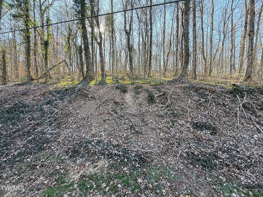 Photo #4: Lots 1-4 Bishop Hollow Road