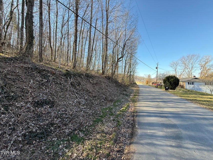 Photo #5: Lots 1-4 Bishop Hollow Road