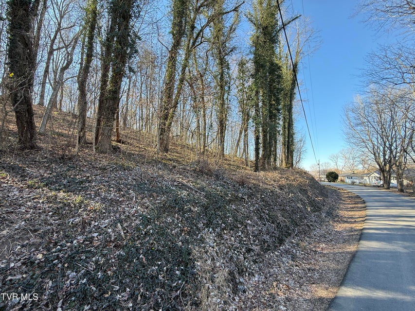 Photo #6: Lots 1-4 Bishop Hollow Road