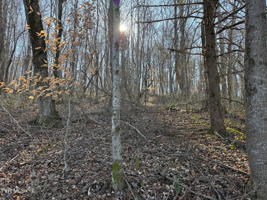 Photo #7: Lots 1-4 Bishop Hollow Road