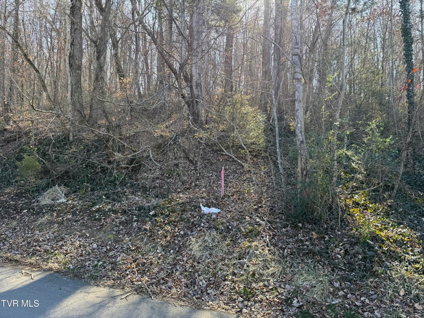 Photo #8: Lots 1-4 Bishop Hollow Road