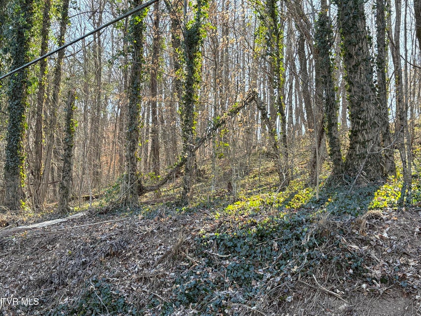 Photo #10: Lots 1-4 Bishop Hollow Road