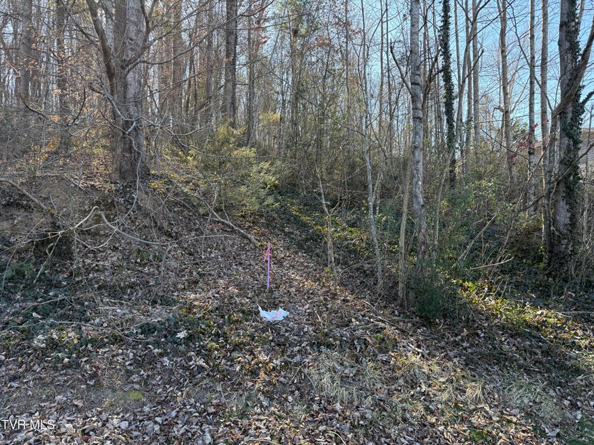 Photo #11: Lots 1-4 Bishop Hollow Road