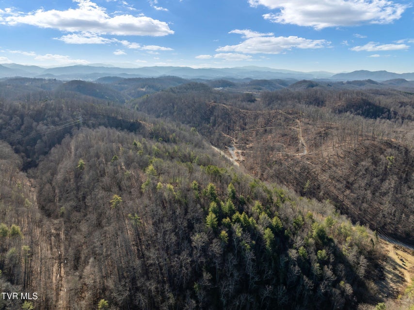 Photo #10: Tbd Cripple Creek Road