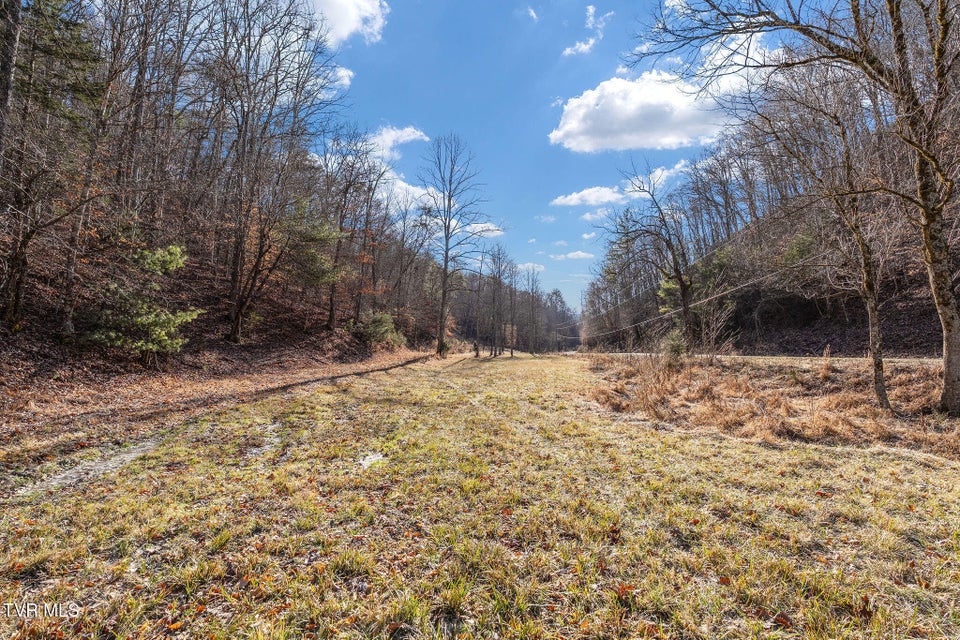 Photo #16: Tbd Cripple Creek Road