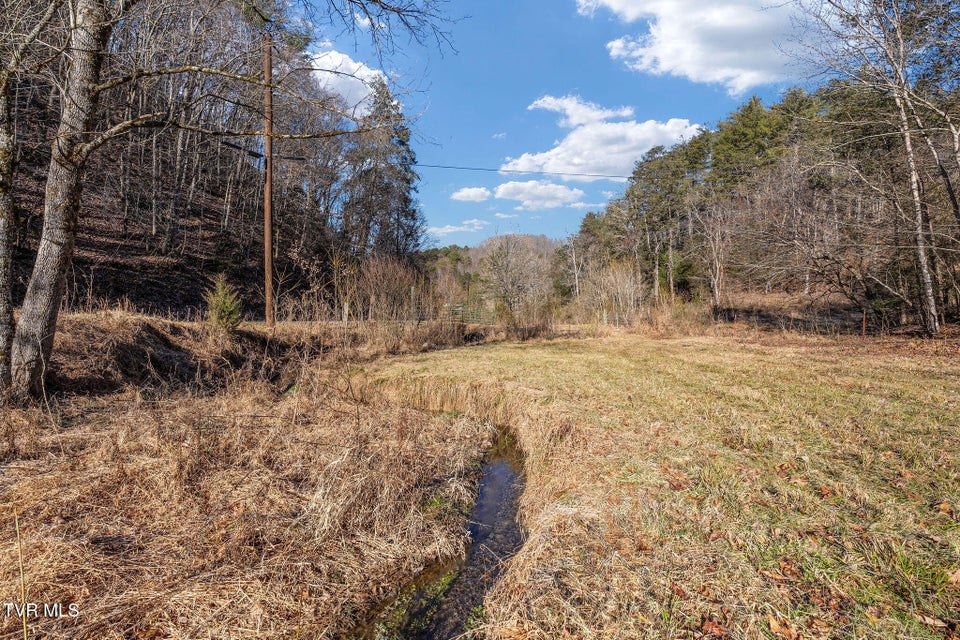 Photo #17: Tbd Cripple Creek Road