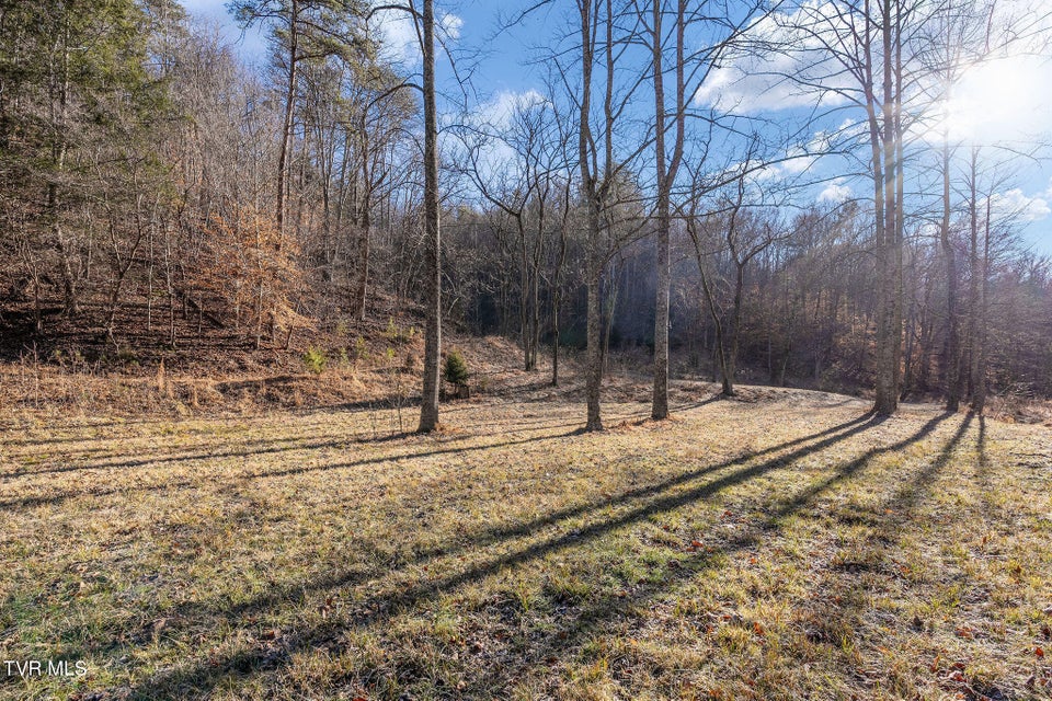 Photo #18: Tbd Cripple Creek Road